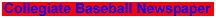 CBRedBlueLogo.GIF (1895 bytes)