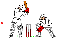 Cricket.gif (4468 bytes)
