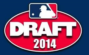 Examination Of 2014 Free Agent Draft Revealing